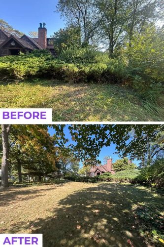 Des-moines-junk-removal-purple-cow-before-and-after-10-14-2025-001