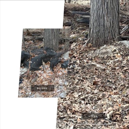 Des-moines-junk-removal-purple-cow-before-and-after-2-9-2026-9