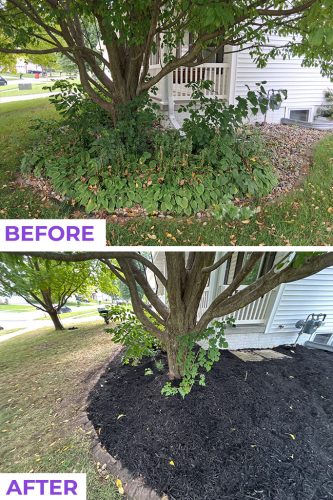 Des-moines-junk-removal-purple-cow-before-and-after-8-25-2025-1