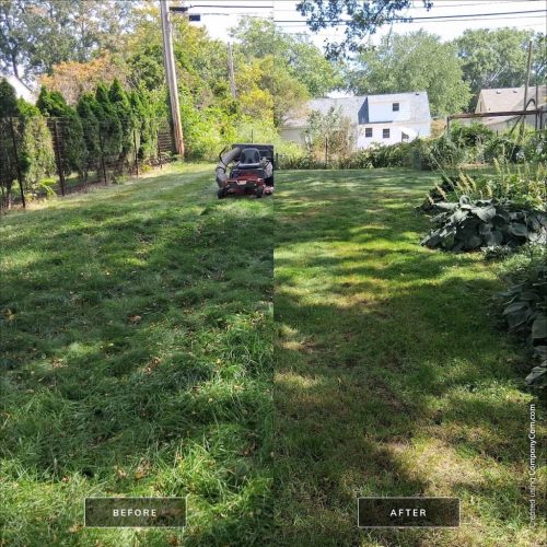 Des-moines-junk-removal-purple-cow-before-and-after-9-1-2025-010