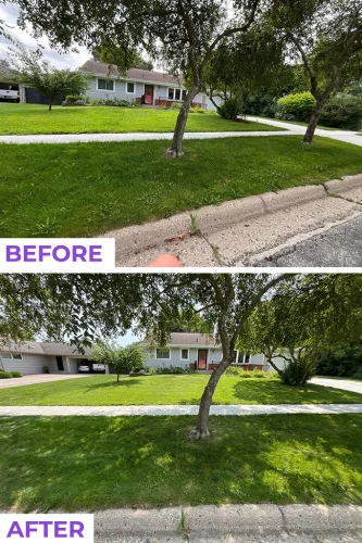 Des-moines-junk-removal-service-purple-cow-before-and-after-8-10-2026-2