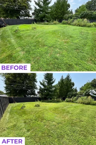 Des-moines-junk-removal-service-purple-cow-before-and-after-8-10-2026-5