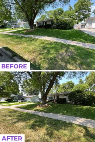 Des-moines-junk-removal-service-purple-cow-before-and-after-8-10-2026-6