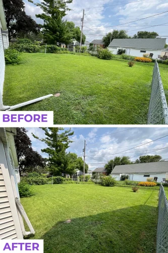 Des-moines-junk-removal-service-purple-cow-before-and-after-8-10-2026-7