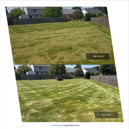 Des-moines-junk-removal-service-purple-cow-before-and-after-8-31-2026-0010