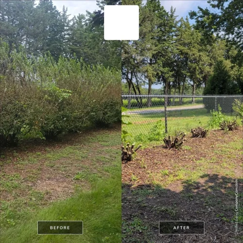 Des-moines-junk-removal-service-purple-cow-before-and-after-8-31-2026-0011