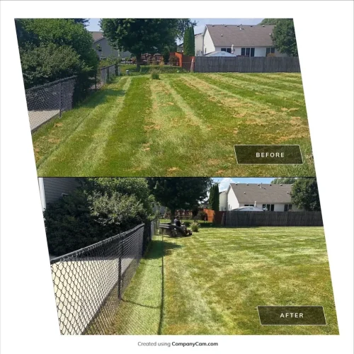 Des-moines-junk-removal-service-purple-cow-before-and-after-8-31-2026-009