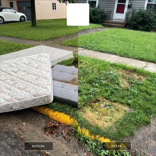 Des-moines-junk-removal-service-purple-cow-before-and-after-9-7-2026-004