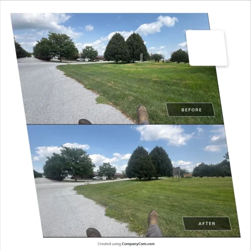 Des-moines-junk-removal-service-purple-cow-before-and-after-9-7-2026-007