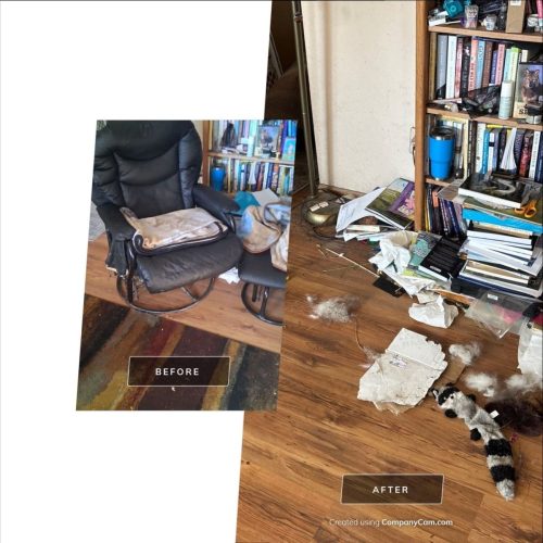 des-moines-junk-removal-purple-cow-11-10-2025-3