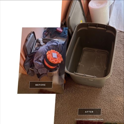 des-moines-junk-removal-purple-cow-11-10-2025-5