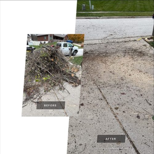 des-moines-junk-removal-purple-cow-11-17-2025-1