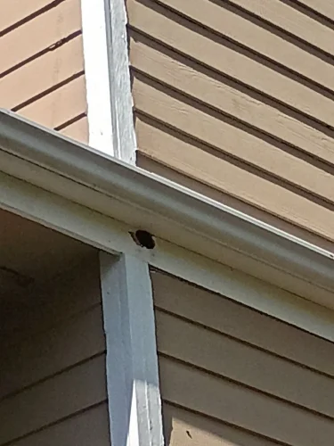 junk-removal-service-des-moines-ia-before-and-after-updates-5-25-2026-005